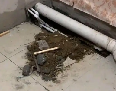 东源卫生间漏水检测哪家好